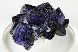 Lustrous Azurite Crystal Cluster - Milpillas Mine, Mexico #193763-1